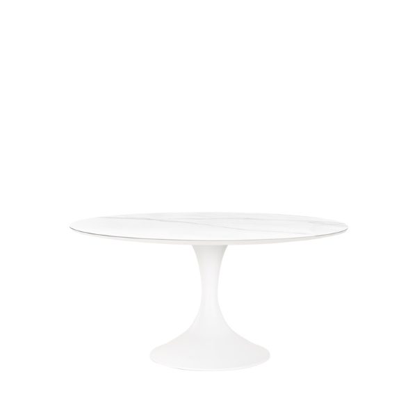 Design & Shell 6 Seat Dining Set 220cm White Table & Stone Chairs CLR