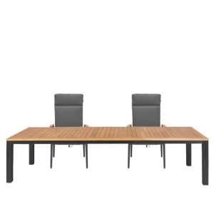 Venus & Gravity 10 Seat Dining Set with Extendable 310cm Table